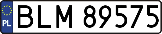 BLM89575