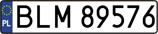 BLM89576