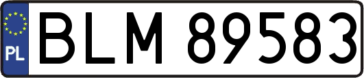 BLM89583