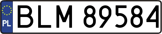 BLM89584
