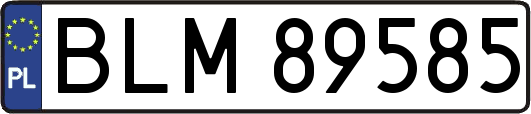 BLM89585