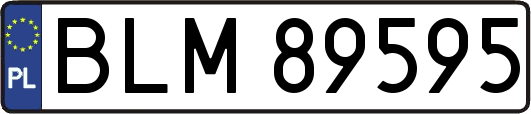 BLM89595