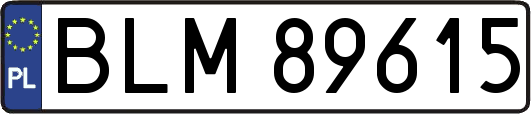 BLM89615