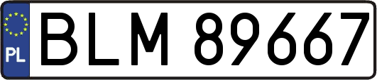 BLM89667