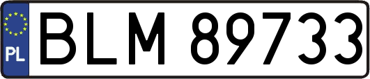 BLM89733