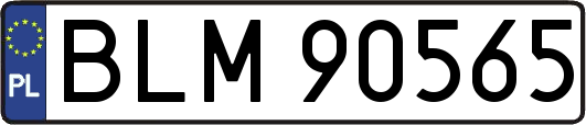 BLM90565