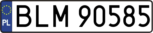 BLM90585