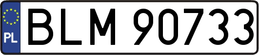 BLM90733