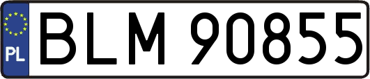 BLM90855
