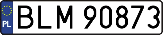 BLM90873