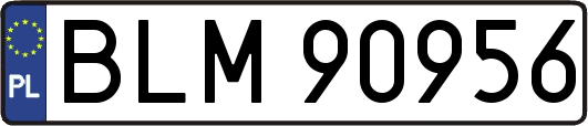 BLM90956