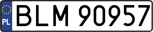 BLM90957