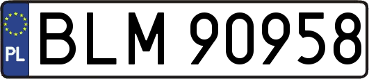 BLM90958