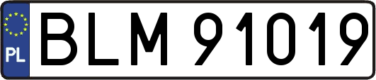 BLM91019
