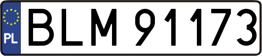 BLM91173