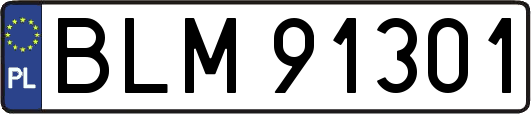 BLM91301