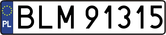 BLM91315