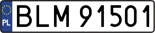 BLM91501