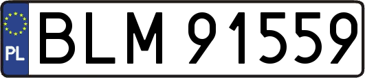 BLM91559