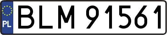 BLM91561