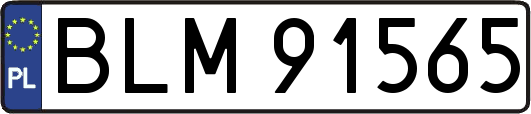 BLM91565