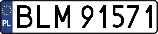 BLM91571