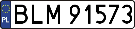 BLM91573