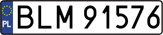 BLM91576