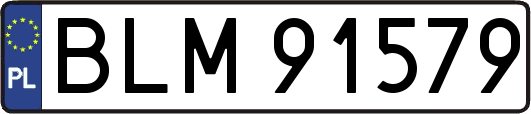 BLM91579