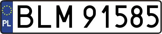 BLM91585