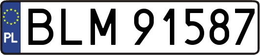 BLM91587