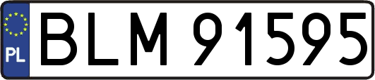 BLM91595
