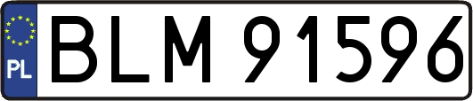 BLM91596