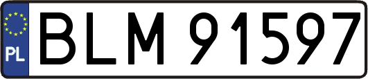 BLM91597