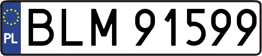 BLM91599