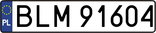 BLM91604