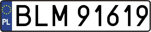 BLM91619