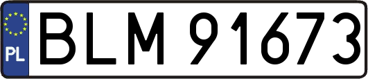 BLM91673