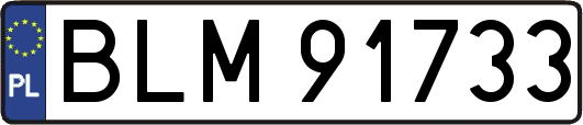 BLM91733