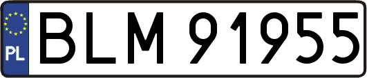 BLM91955