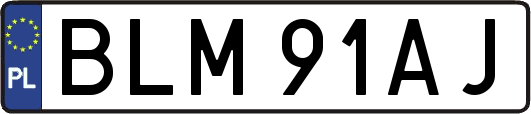 BLM91AJ