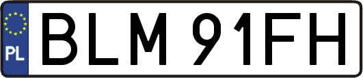 BLM91FH