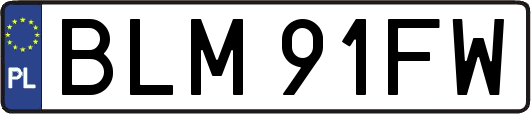 BLM91FW