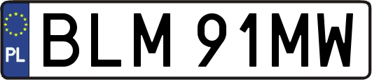 BLM91MW