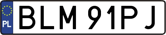 BLM91PJ