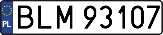 BLM93107