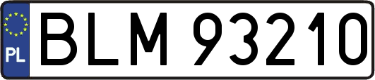 BLM93210