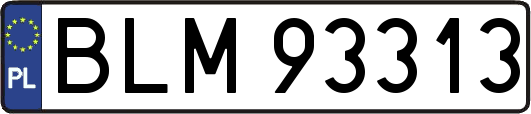BLM93313