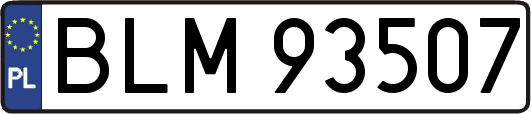 BLM93507
