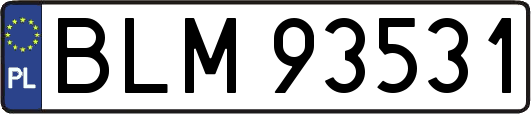 BLM93531